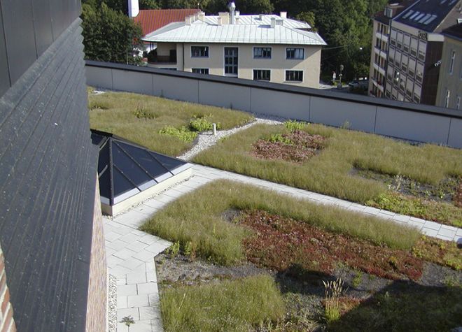 Duurzaam daken en dakdetails